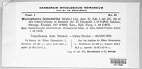 Microsphaera grossulariae image
